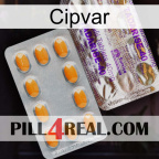 Cipvar new12